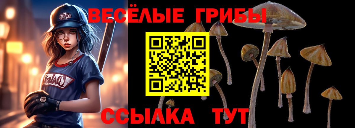 Елабуга  Псилоцибиновые грибы мухоморы  Вход с VPN 